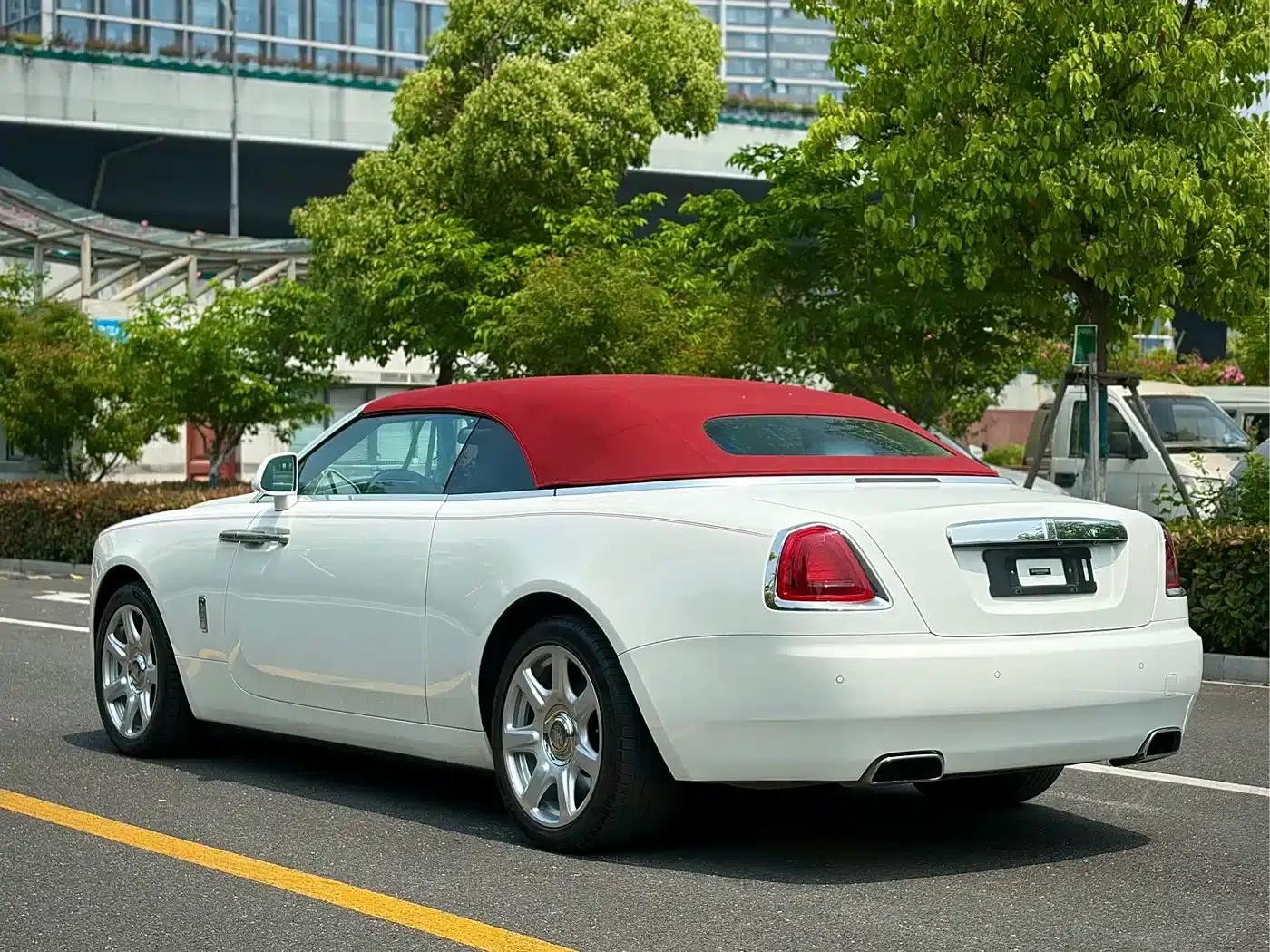 2018 Dawn 6.6T Standard Edition — миниатюра 7
