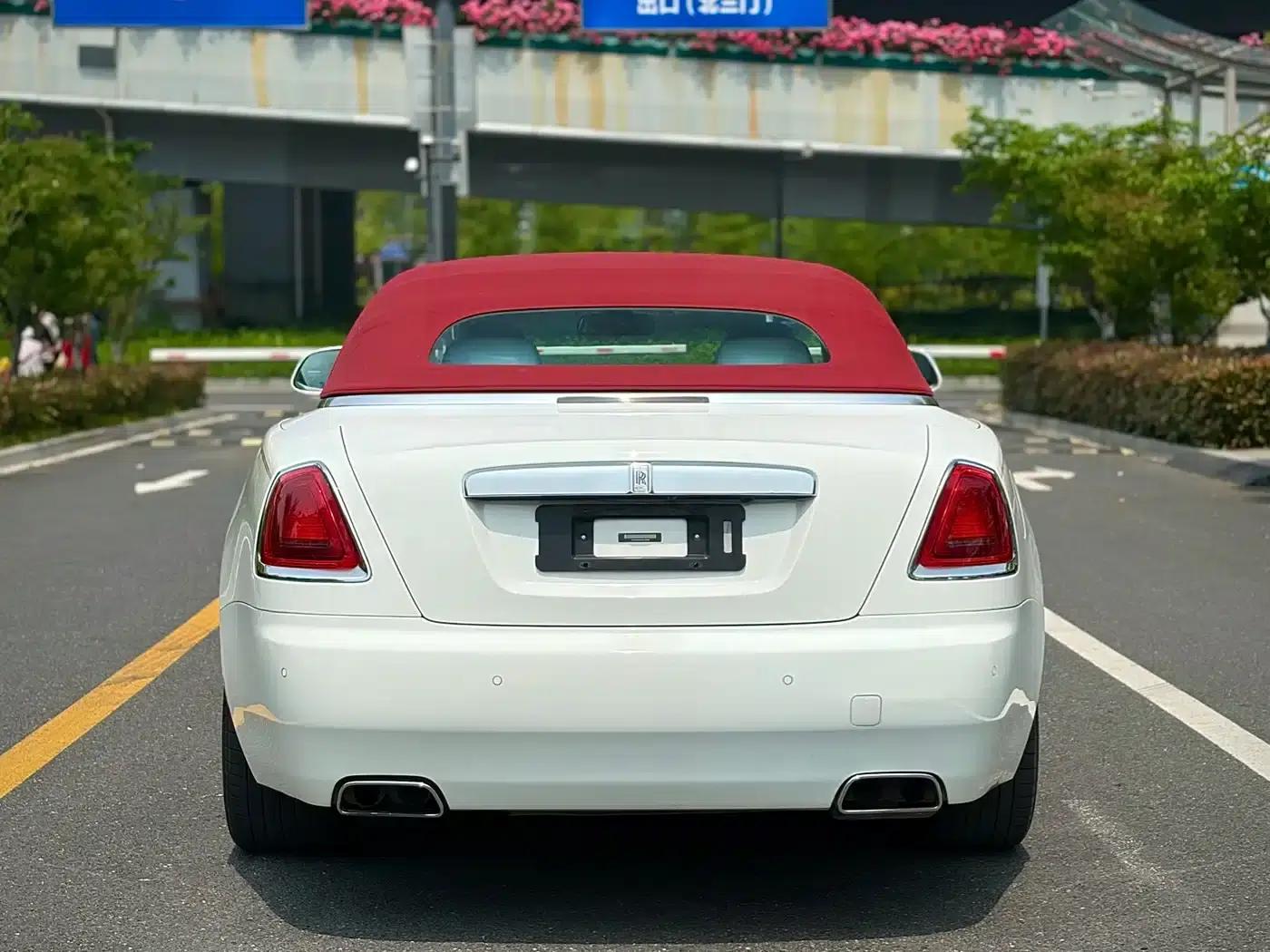 2018 Dawn 6.6T Standard Edition — миниатюра 8