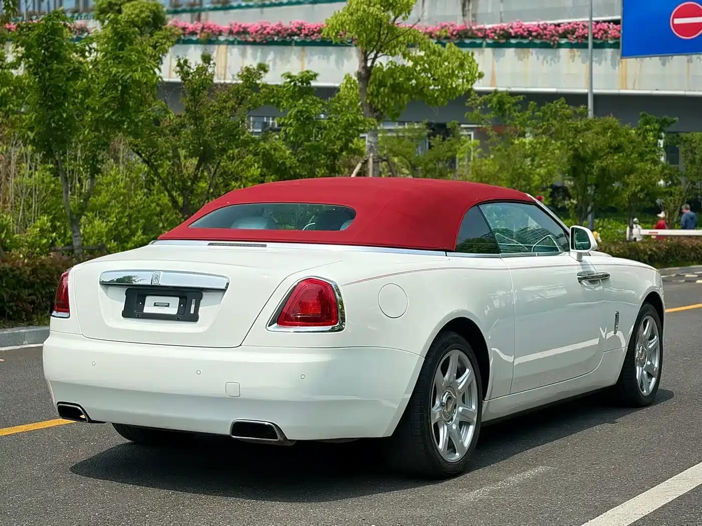 2018 Dawn 6.6T Standard Edition — миниатюра 9