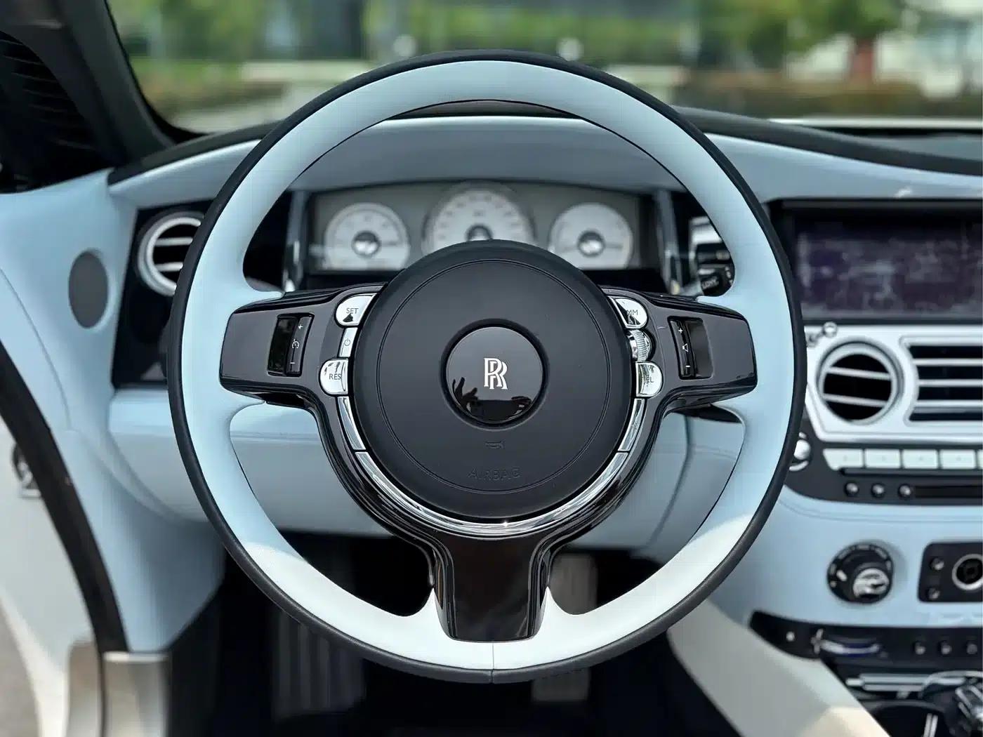 2018 Dawn 6.6T Standard Edition — миниатюра 10