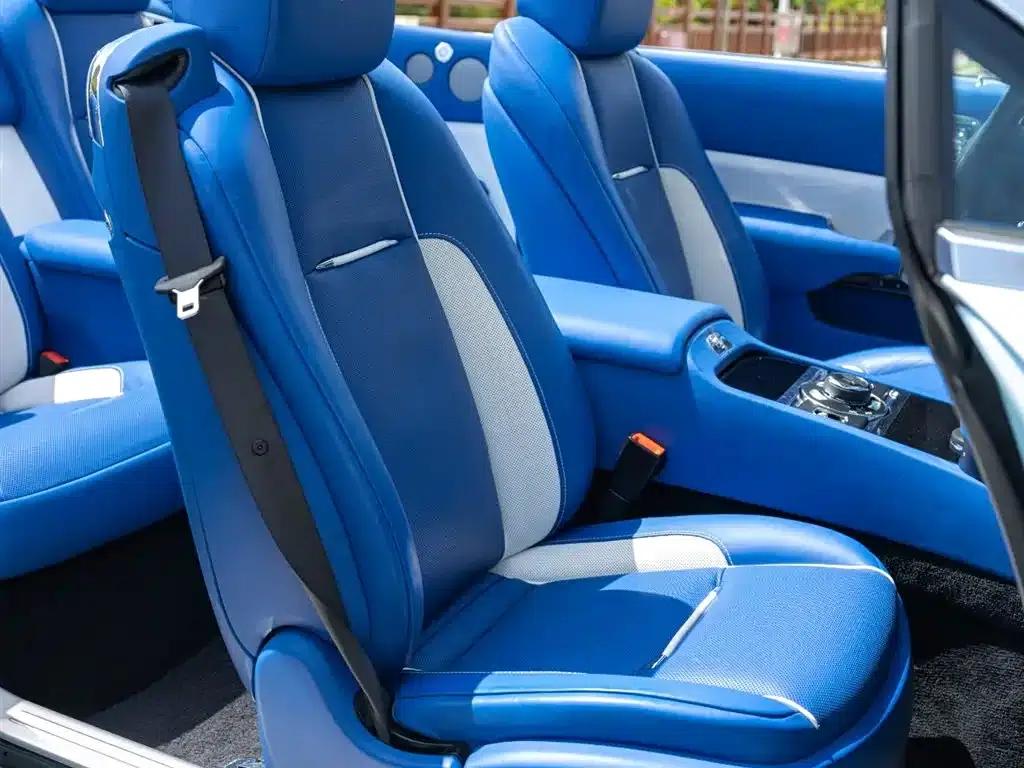 2018 Dawn 6.6T Standard Edition — миниатюра 18