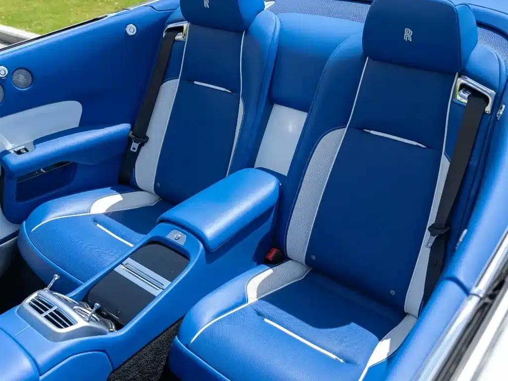 2018 Dawn 6.6T Standard Edition — миниатюра 20