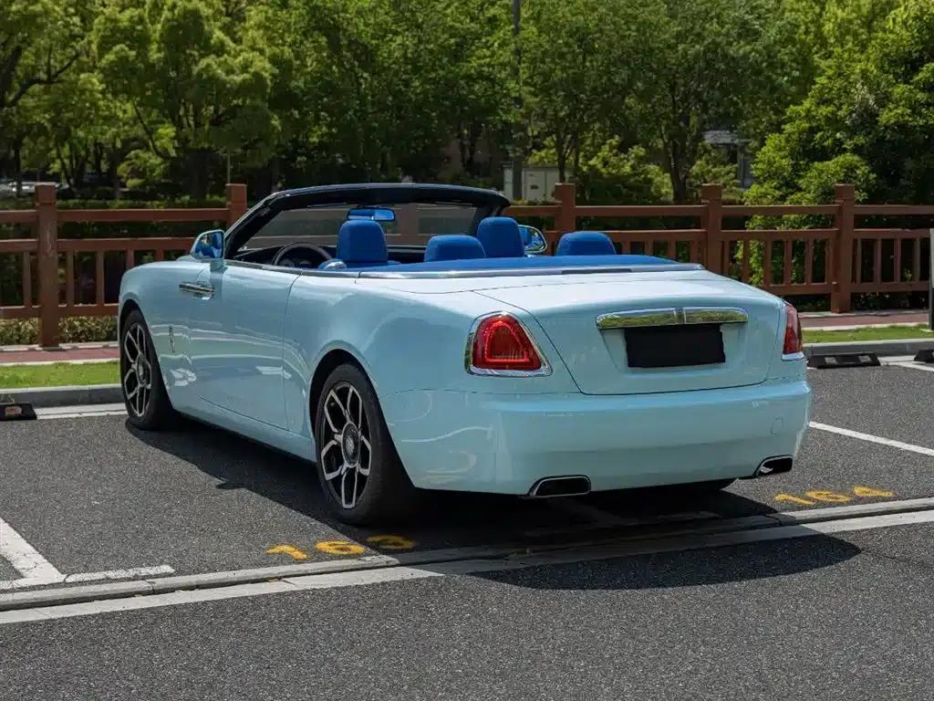 2018 Dawn 6.6T Standard Edition — миниатюра 6