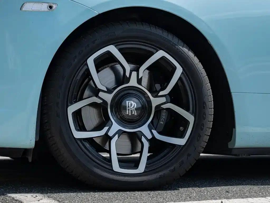 2018 Dawn 6.6T Standard Edition — миниатюра 8