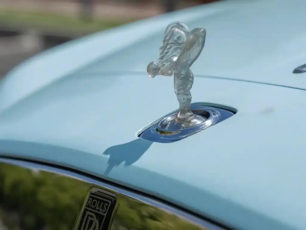 2018 Dawn 6.6T Standard Edition — миниатюра 9