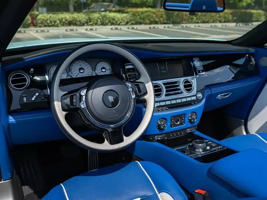 2018 Dawn 6.6T Standard Edition — миниатюра 10
