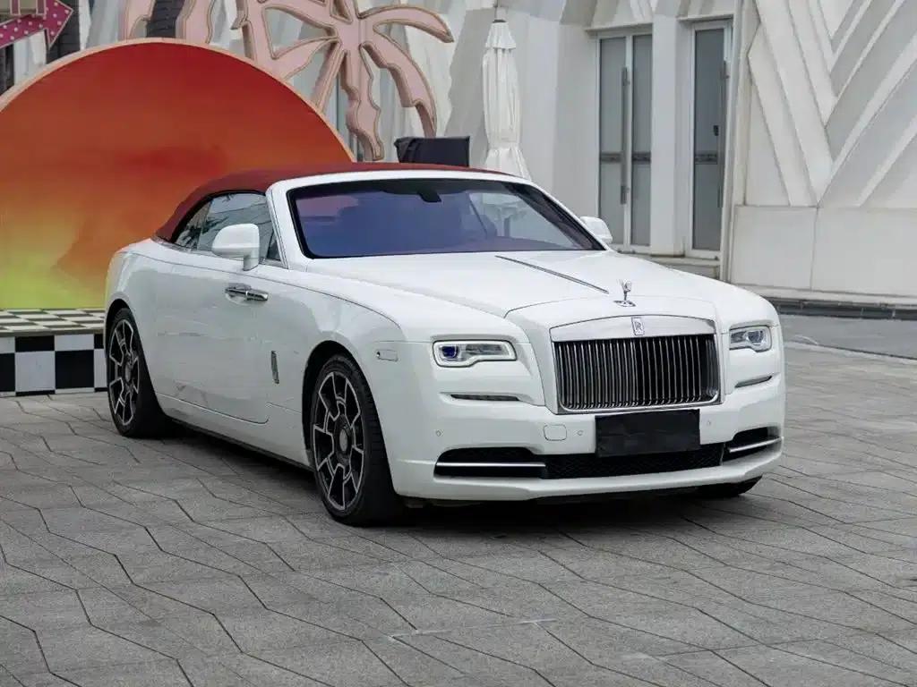 2018 Dawn 6.6T Standard Edition — миниатюра 3