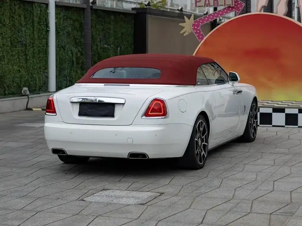 2018 Dawn 6.6T Standard Edition — миниатюра 4
