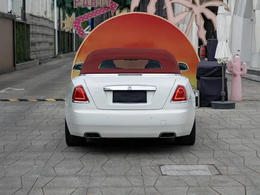 2018 Dawn 6.6T Standard Edition — миниатюра 5