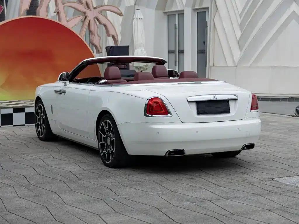 2018 Dawn 6.6T Standard Edition — миниатюра 6