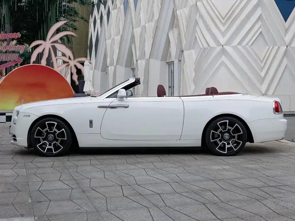 2018 Dawn 6.6T Standard Edition — миниатюра 7