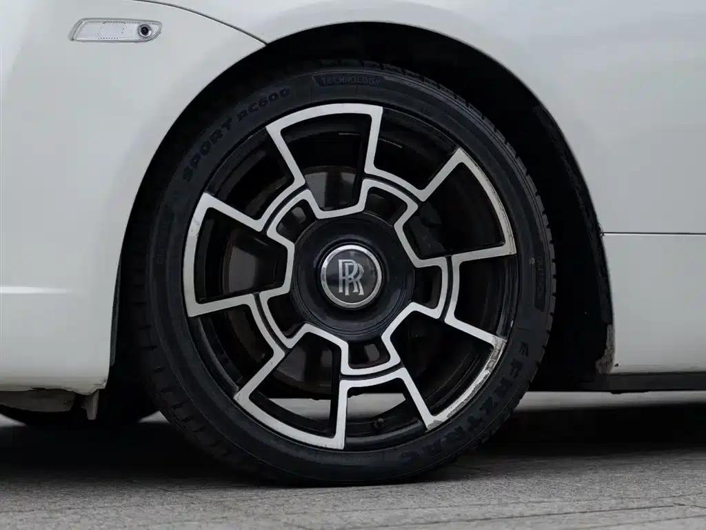 2018 Dawn 6.6T Standard Edition — миниатюра 8