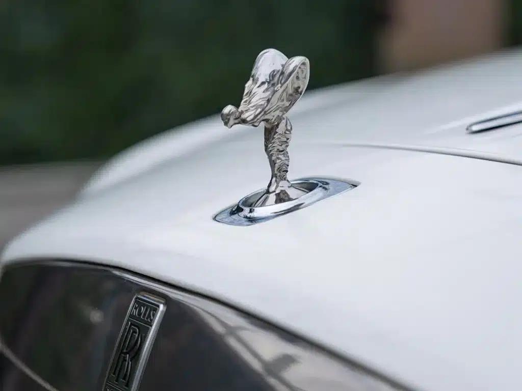 2018 Dawn 6.6T Standard Edition — миниатюра 9