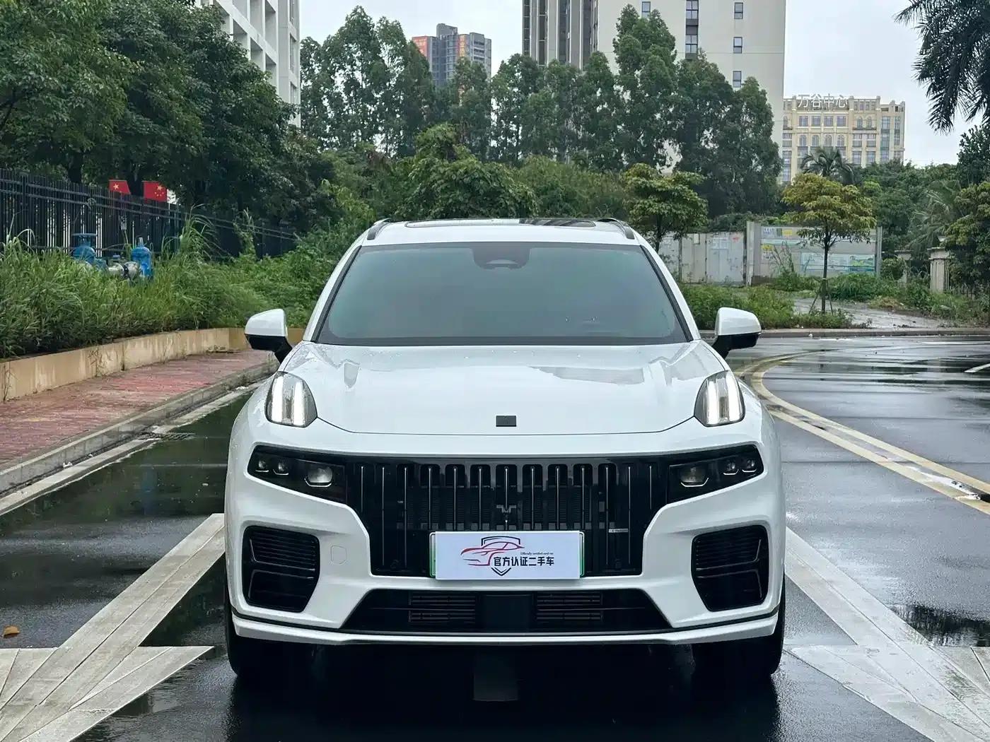 Lynk & Co 09 EM-P 2024 2.0TD EM-P AWD HALO 6-seater — миниатюра 2