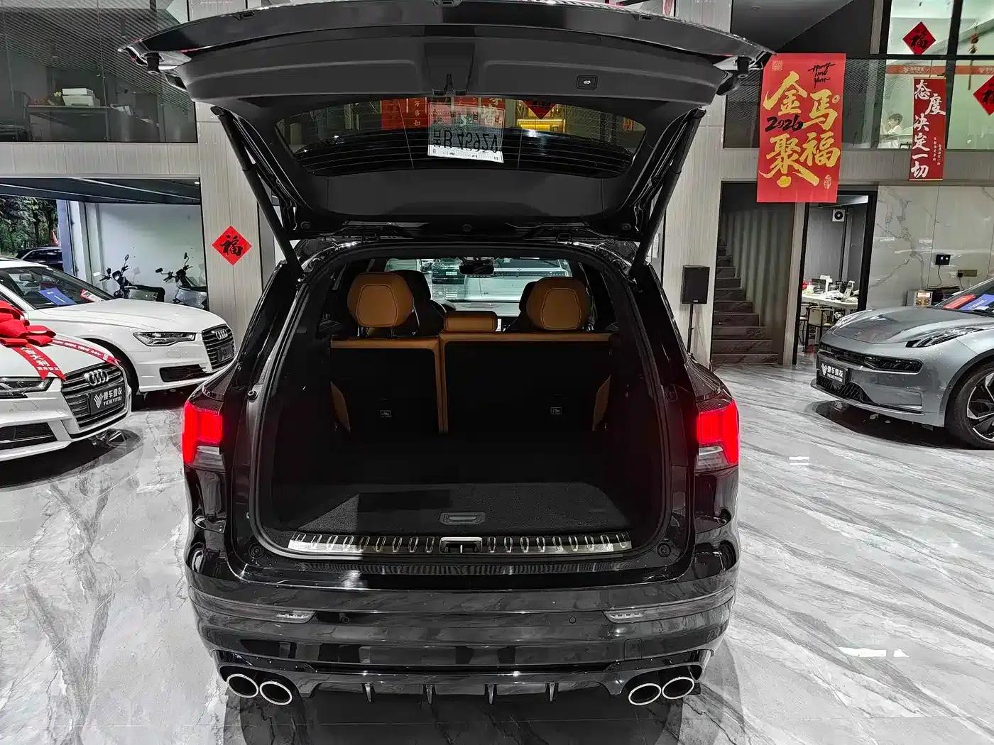 Lynk & Co 09 EM-P 2023 2.0TD EM-P AWD Asian Touring Administrative Edition 5-seater — миниатюра 18