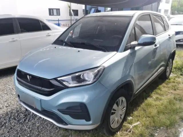 NETA N01 2019 380V