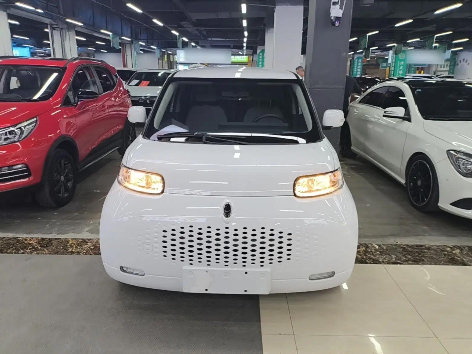 ORA White Cat 2020 360 km Luxury Version — миниатюра 2