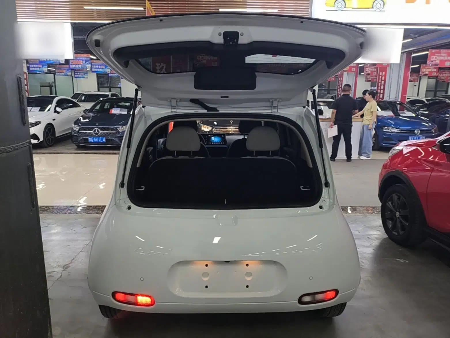 ORA White Cat 2020 360 km Luxury Version — миниатюра 22