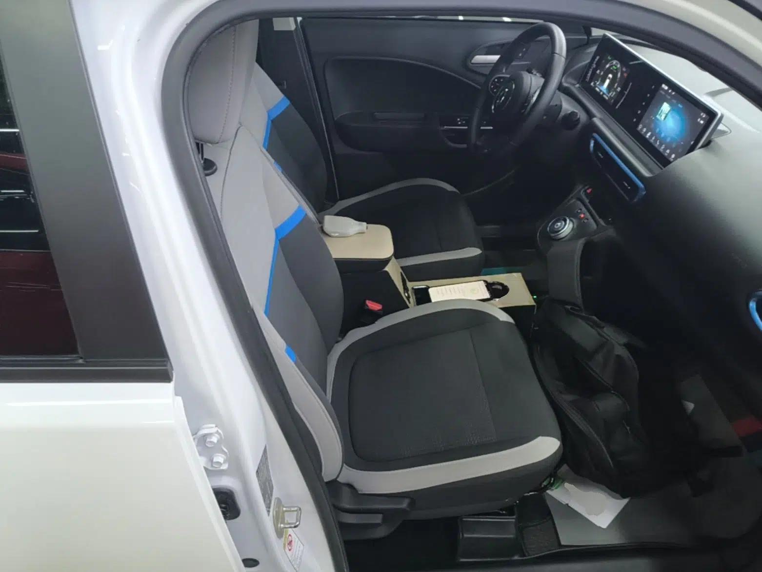 ORA White Cat 2020 360 km Luxury Version — миниатюра 23