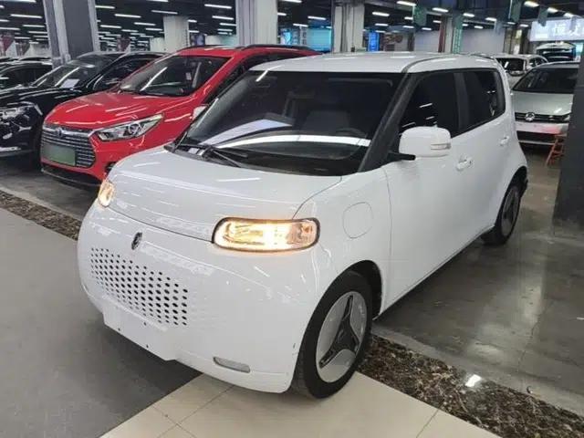 ORA White Cat 2020 360 km Luxury Version