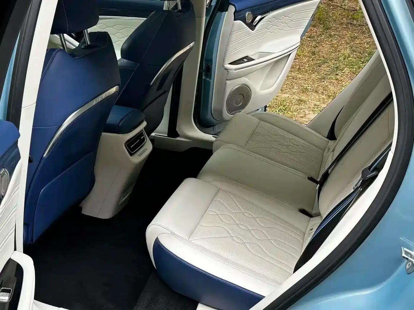 Voyah FREE 2021 AWD Standard Range Extender Exclusive Luxury Package — миниатюра 16