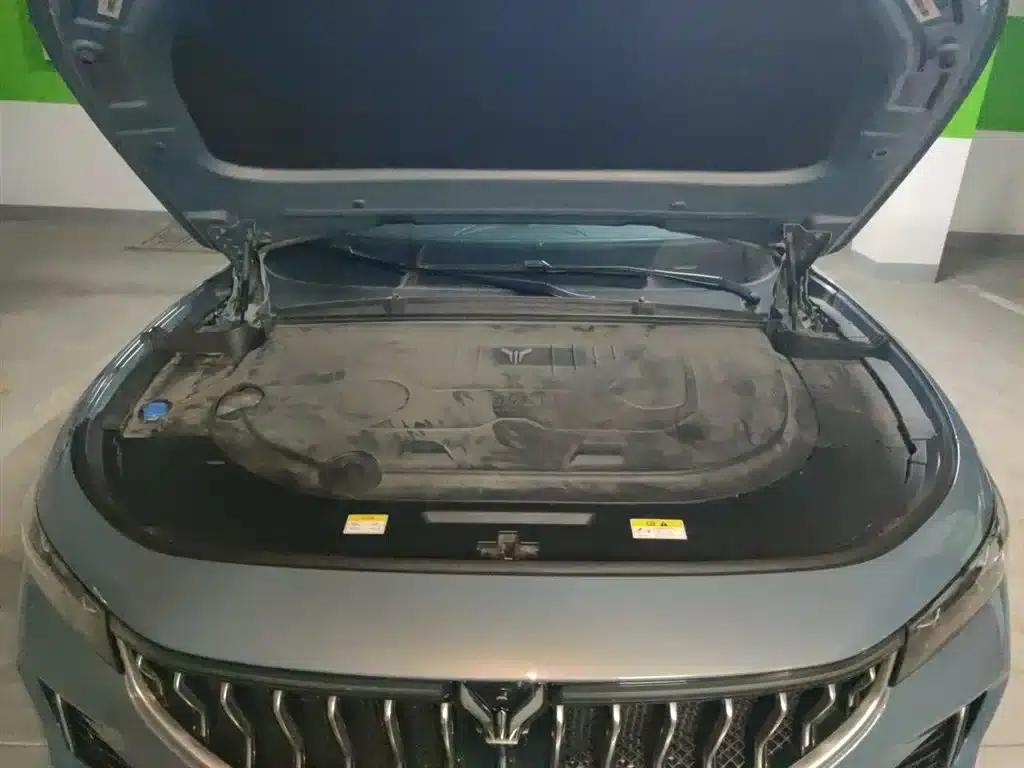 Voyah FREE 2021 AWD Standard Range Extender Exclusive Luxury Package — миниатюра 11