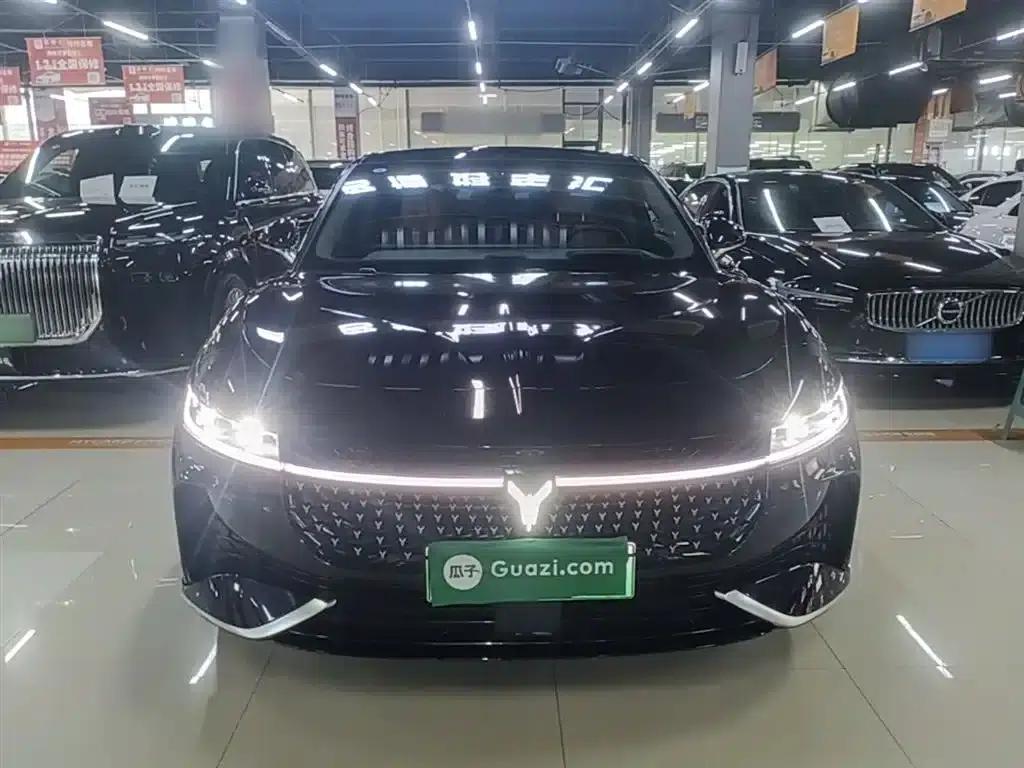 Voyah Chasing the Light 2024 PHEV AWD Long Range Flagship Edition — миниатюра 3