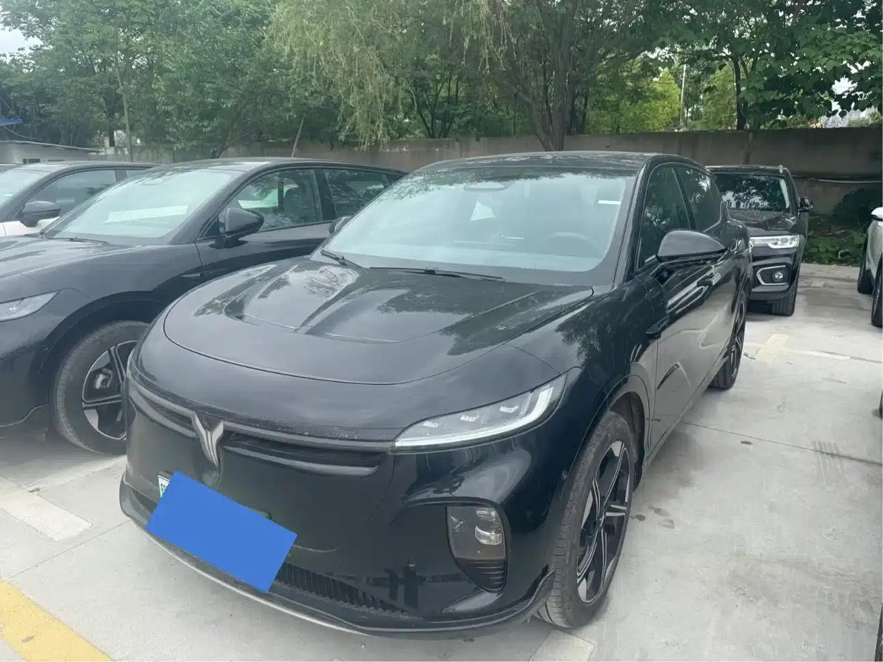 Voyah 2024 Long Range Supercharging Edition — миниатюра 1