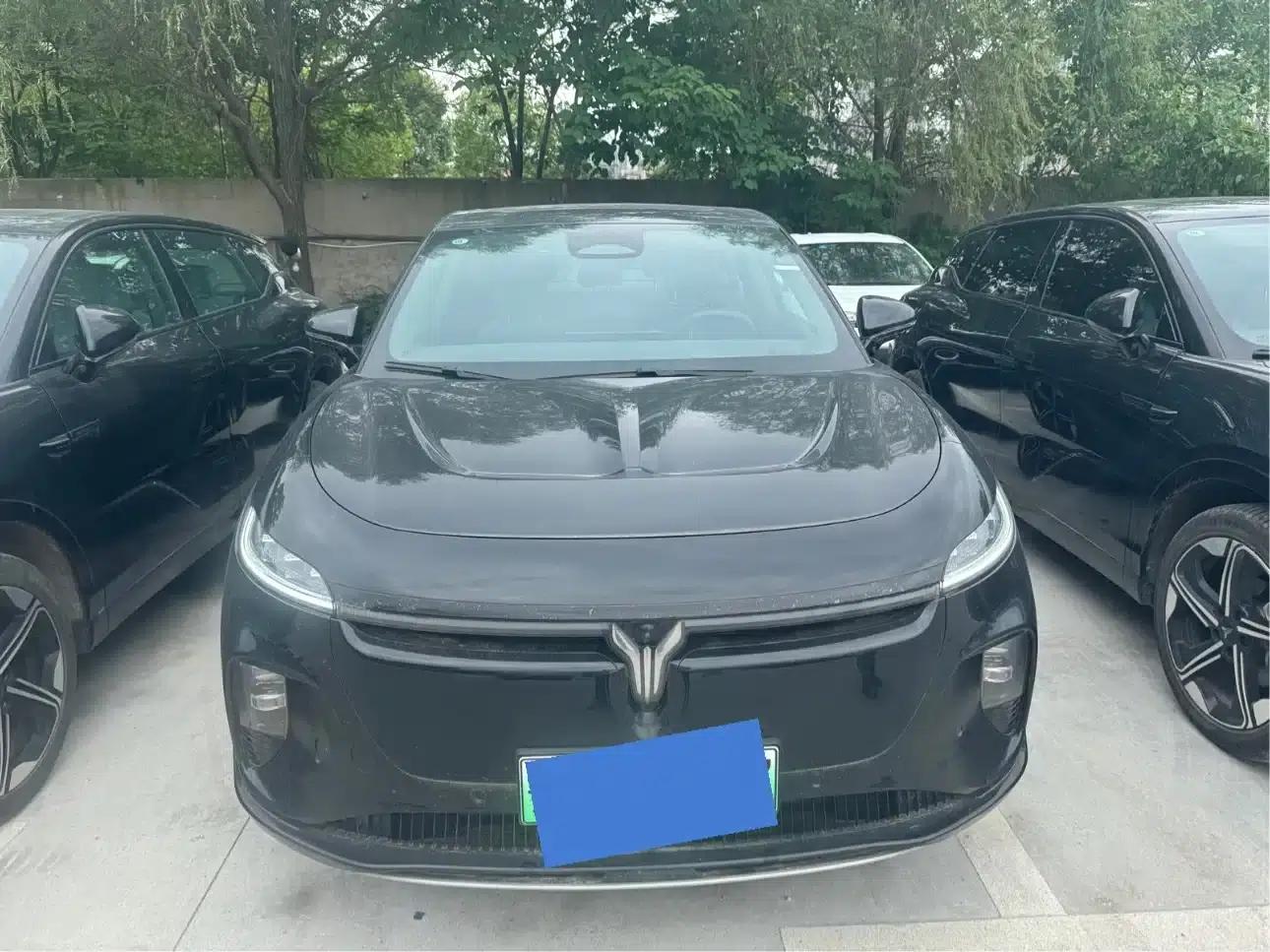 Voyah 2024 Long Range Supercharging Edition — миниатюра 2