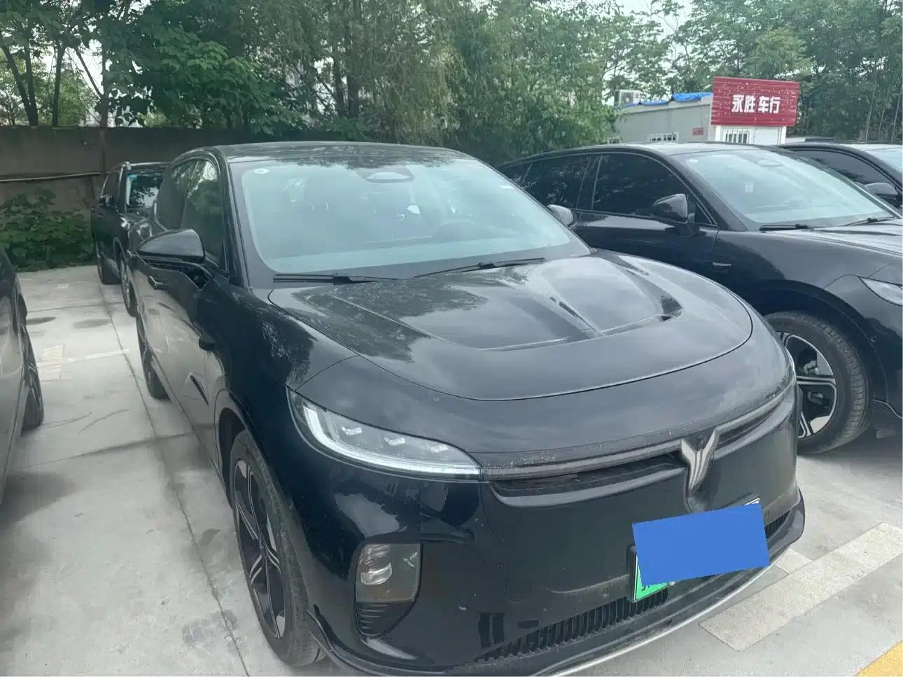 Voyah 2024 Long Range Supercharging Edition — миниатюра 3