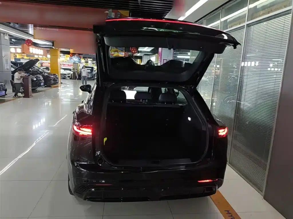 Voyah 2024 Global Edition (4WD) — миниатюра 19