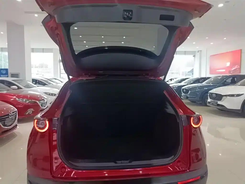 Mazda CX-30 2020 2.0L Automatic Premium Edition — миниатюра 19