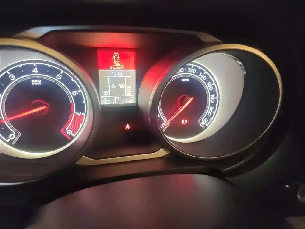 2016 GS 1.5TGI TST Luxury Edition — миниатюра 5