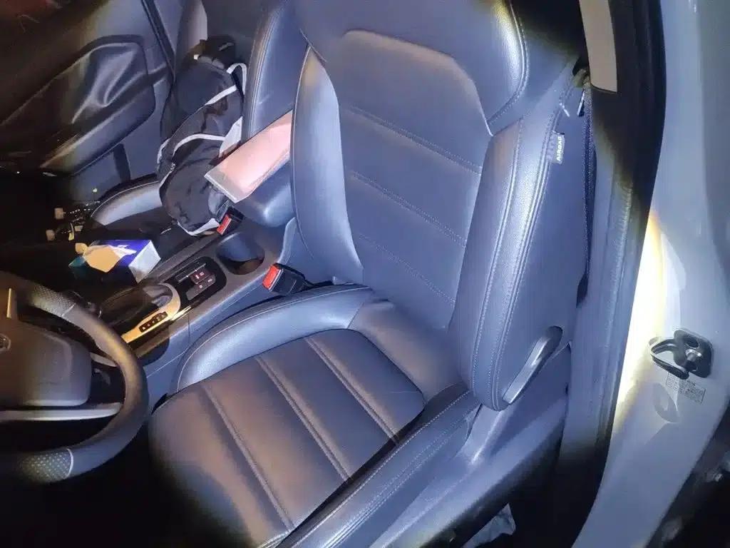 2016 GS 1.5TGI TST Luxury Edition — миниатюра 8
