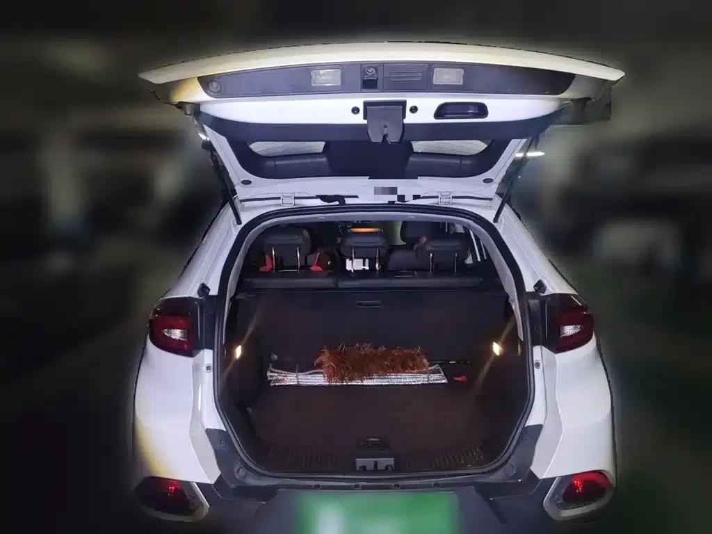 2016 GS 1.5TGI TST Luxury Edition — миниатюра 10