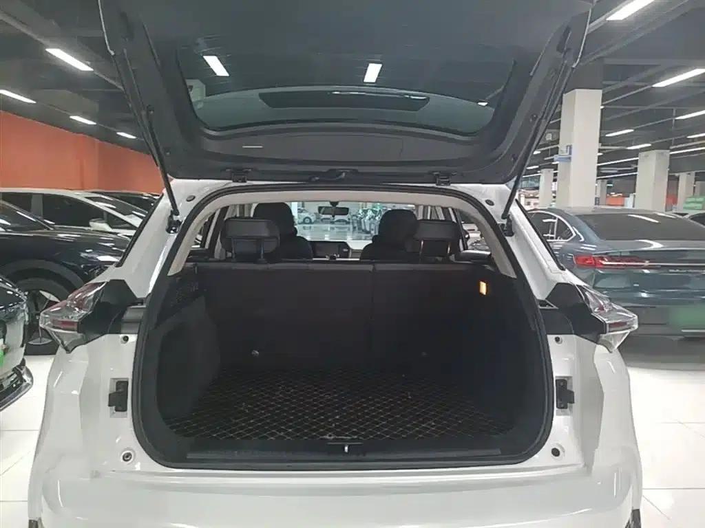 Nezha U 2023 Model, Nezha U-II 400 U-Show Edition, Lithium Iron Phosphate — миниатюра 19