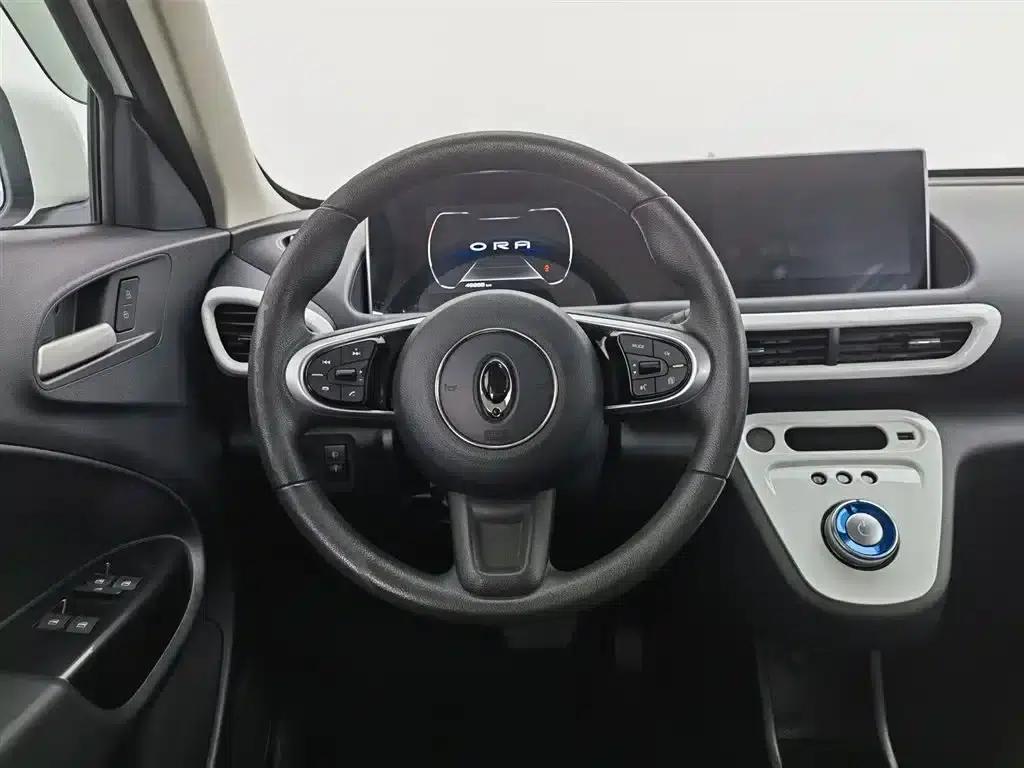 ORA White Cat 2020 Model 305km Luxury — миниатюра 11