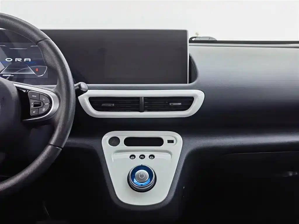 ORA White Cat 2020 Model 305km Luxury — миниатюра 12