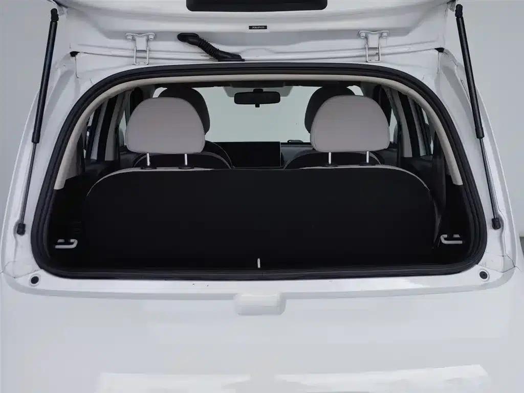 ORA White Cat 2020 Model 305km Luxury — миниатюра 16