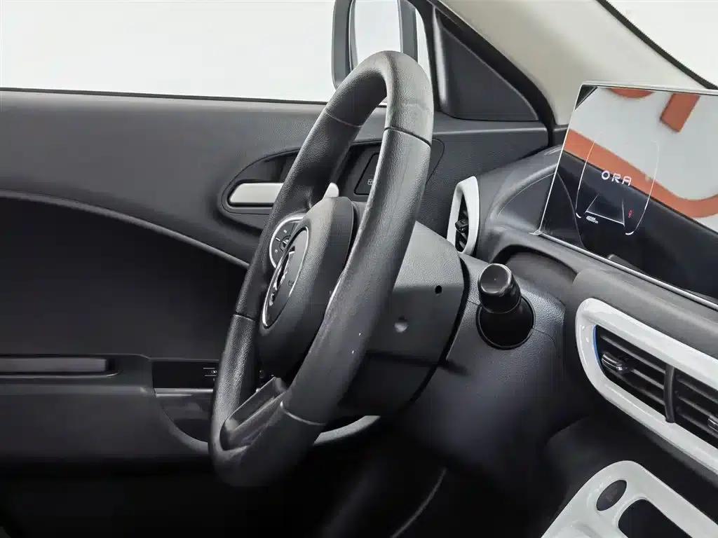 ORA White Cat 2020 Model 305km Luxury — миниатюра 22