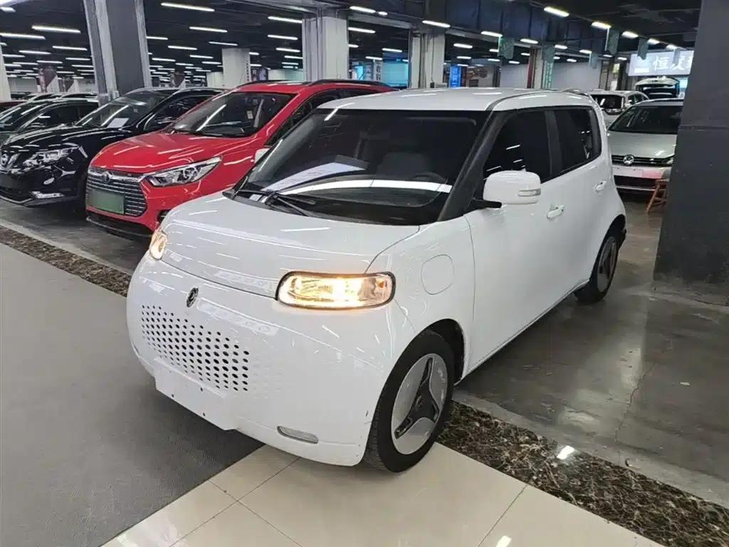 ORA White Cat 2020 360km Luxury Edition — миниатюра 1