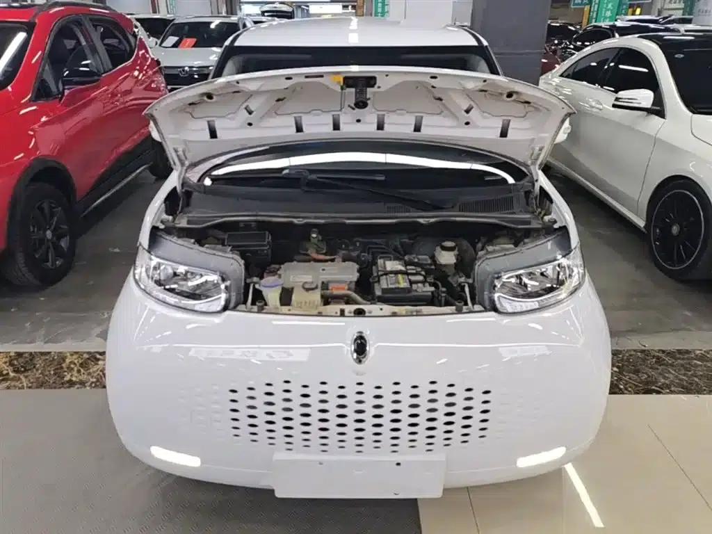 ORA White Cat 2020 360km Luxury Edition — миниатюра 20
