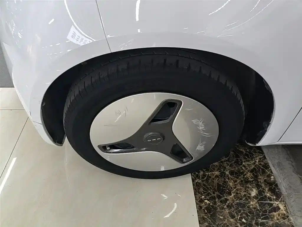 ORA White Cat 2020 360km Luxury Edition — миниатюра 23