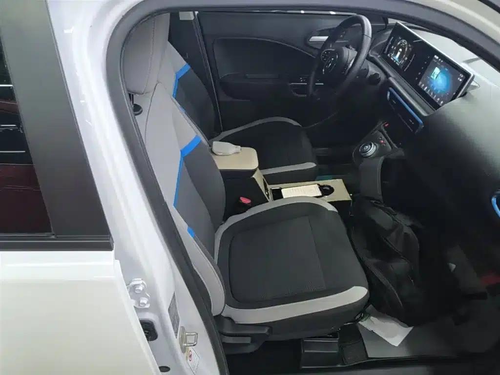ORA White Cat 2020 360km Luxury Edition — миниатюра 25