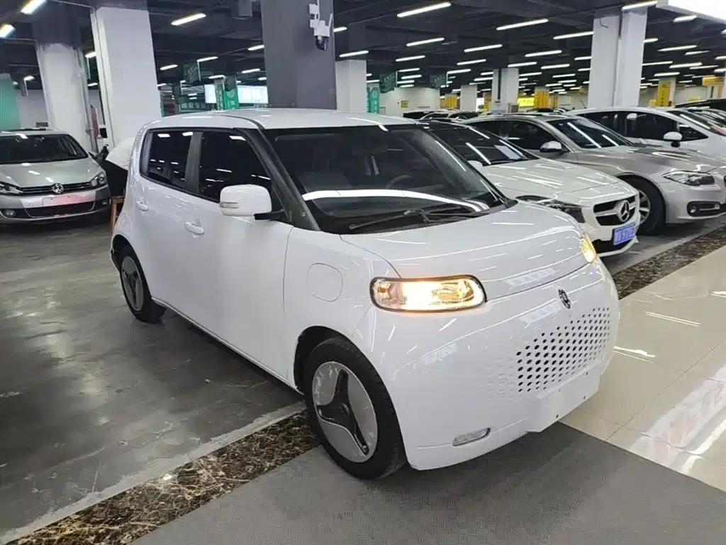 ORA White Cat 2020 360km Luxury Edition — миниатюра 4