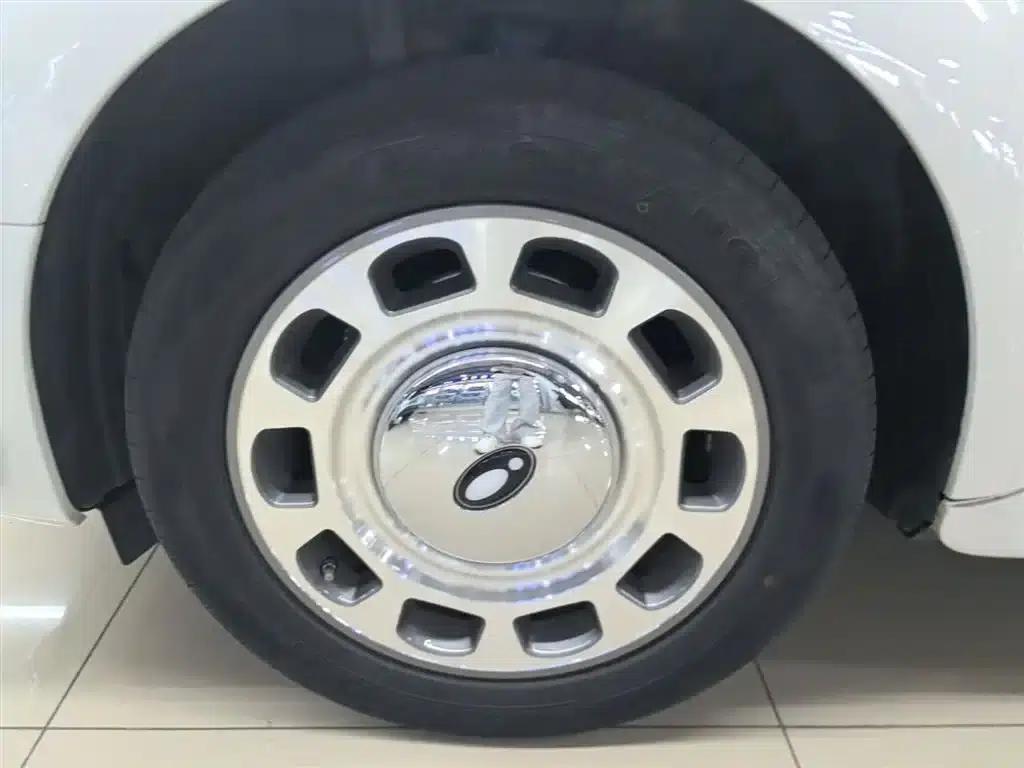 Euler Ballet Cat 2022 Model 401km Nutcracker Edition — миниатюра 23