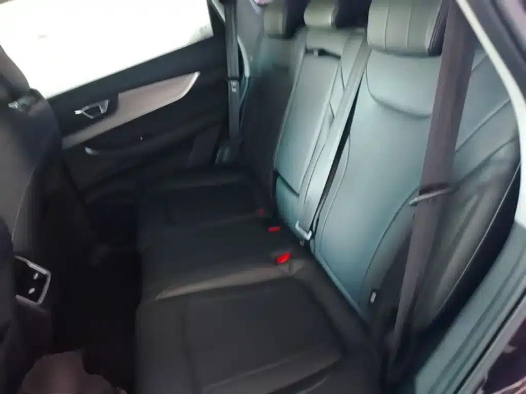 Chery Tiggo 8 PLUS 2021 290TGDI DCT Luxury Edition — миниатюра 17