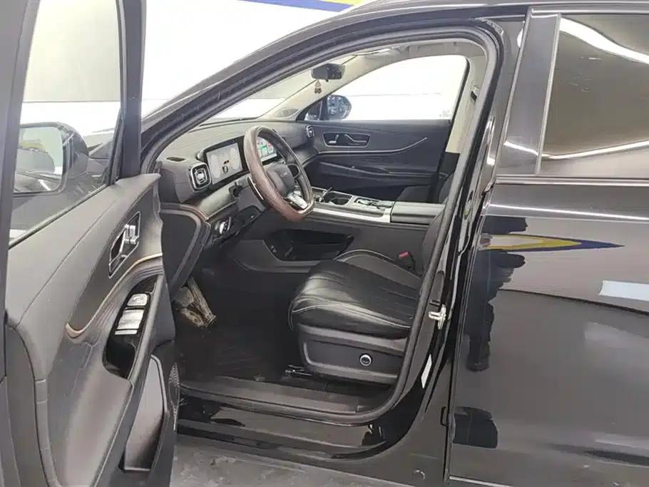 Chery Tiggo 9 2023 2.0T Automatic 2WD Luxury Edition 5-seater — миниатюра 9