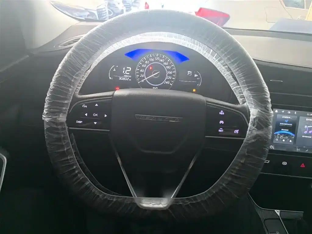 Venucia D60 2021 PLUS 1.6L XL CVT Elite Edition — миниатюра 11