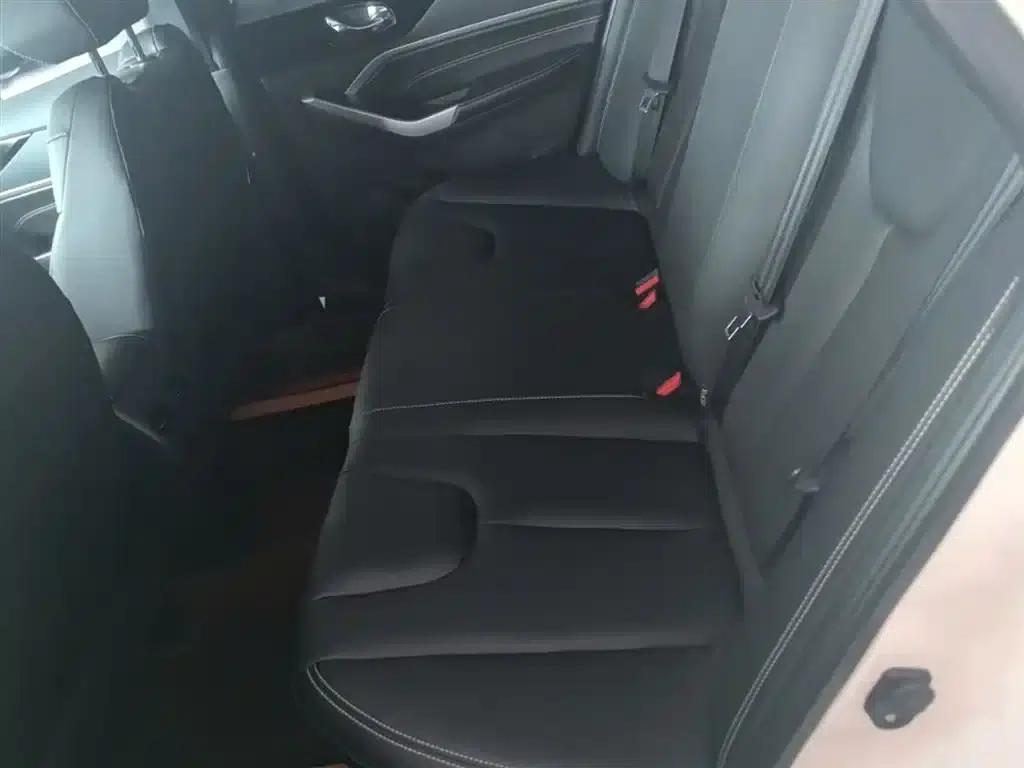 Venucia D60 2021 PLUS 1.6L XL CVT Elite Edition — миниатюра 17